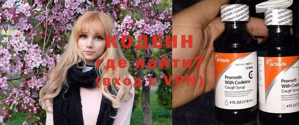 ГАЛЛЮЦИНОГЕННЫЕ ГРИБЫ Ладушкин