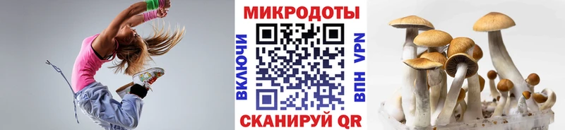 Галлюциногенные грибы Psilocybine cubensis Шимановск